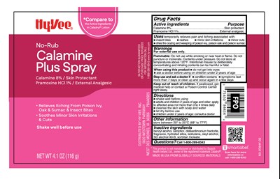 Carton (Hy Vee Calamine Plus Spray 50 074hy 02)